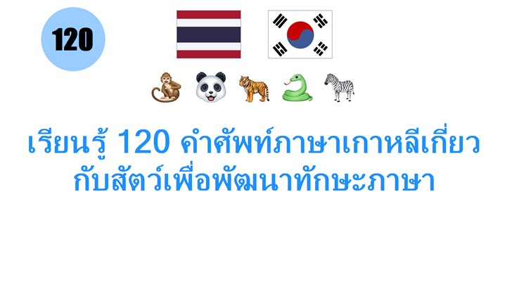 เรียนรู้ 120 คำศัพท์ภาษาเกาหลีเกี่ยวกับสัตว์เพื่อพัฒนาทักษะภาษา